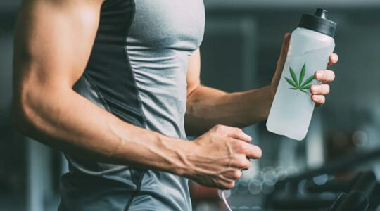 cbd sport